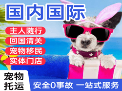 徕宁机场邮寄国际宠物托运 【国